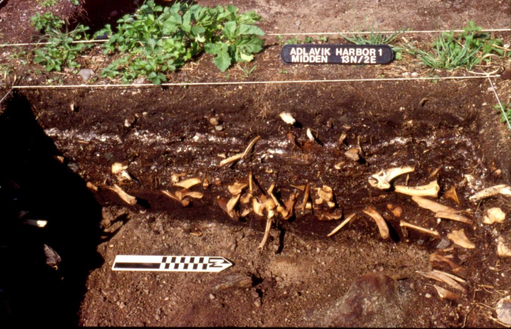 Finished excavation of midden